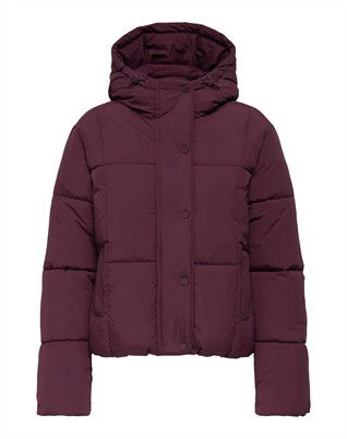 JDYWonder Short Hood Puffer Jakke 